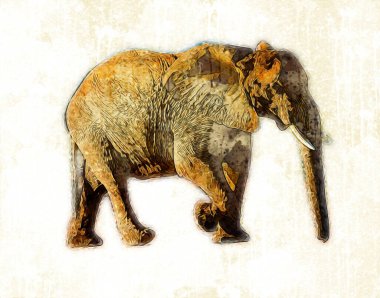 Kalem sanatı çiziminden fil çizimi