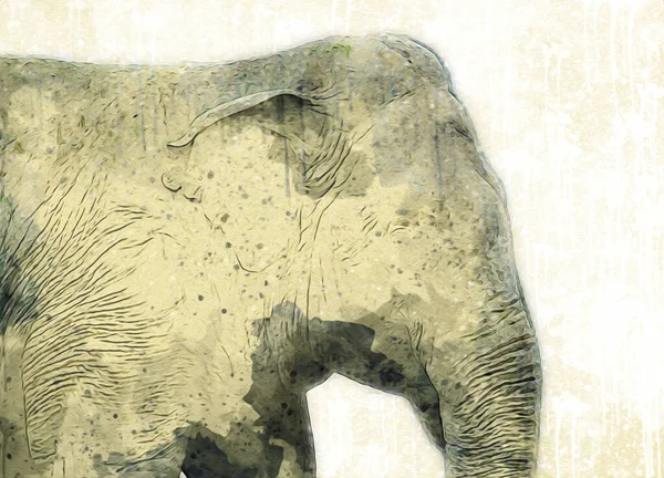 Elephant drawing from pencil art illustration