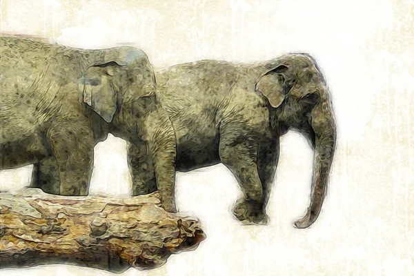Dibujo Elefante Ilustración Arte Lápiz —  Fotos de Stock