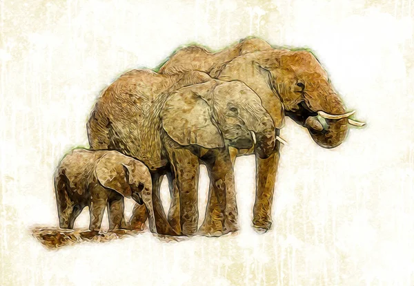 연필로 그림에서 코끼리 — 스톡 사진