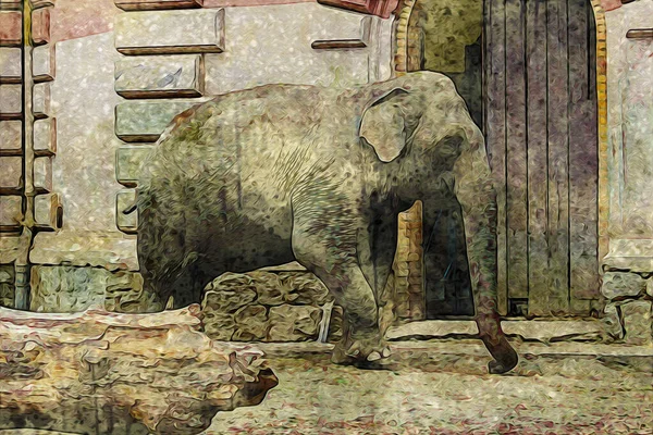 Desenho Elefante Ilustração Arte Lápis — Fotografia de Stock