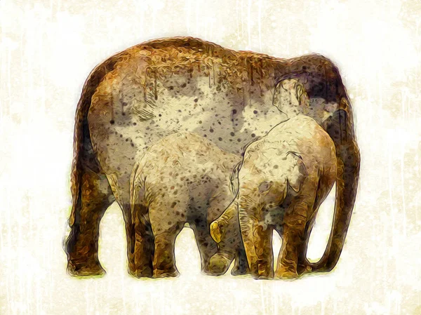 Dibujo Elefante Ilustración Arte Lápiz —  Fotos de Stock