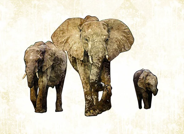 Рисунок Слона Иллюстрации Карандашного Искусства — стоковое фото