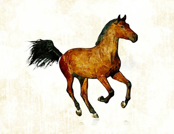 Colorido Caballo Arte Ilustración Grunge Pintura —  Fotos de Stock