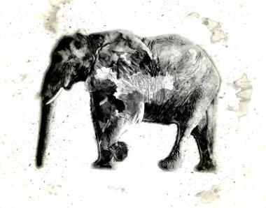 Kalem sanatı çiziminden fil çizimi