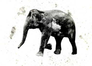 Kalem sanatı çiziminden fil çizimi