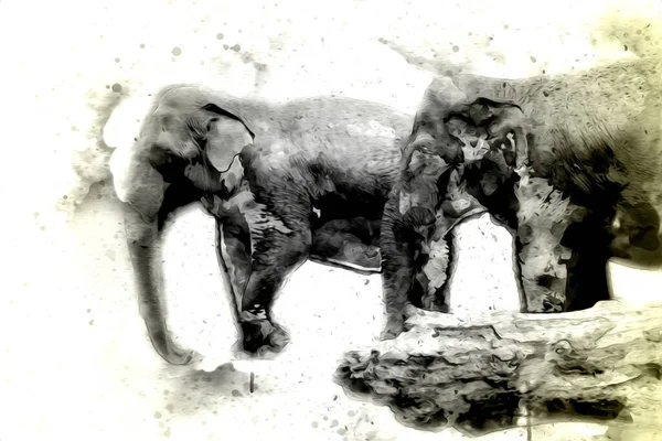 Kalem sanatı çiziminden fil çizimi