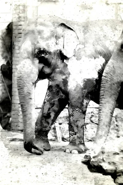 Kalem sanatı çiziminden fil çizimi