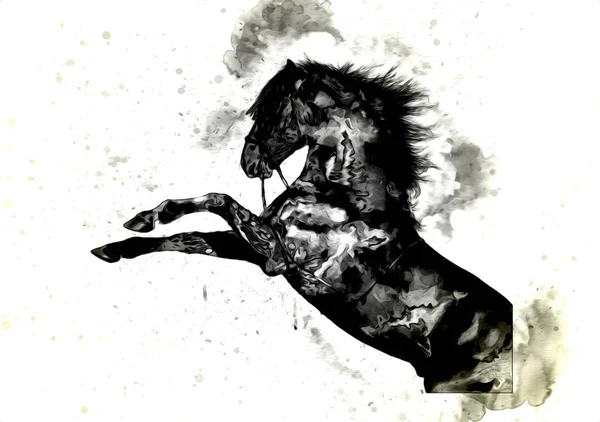 Illustration Art Cheval Coloré Peinture Grunge — Photo