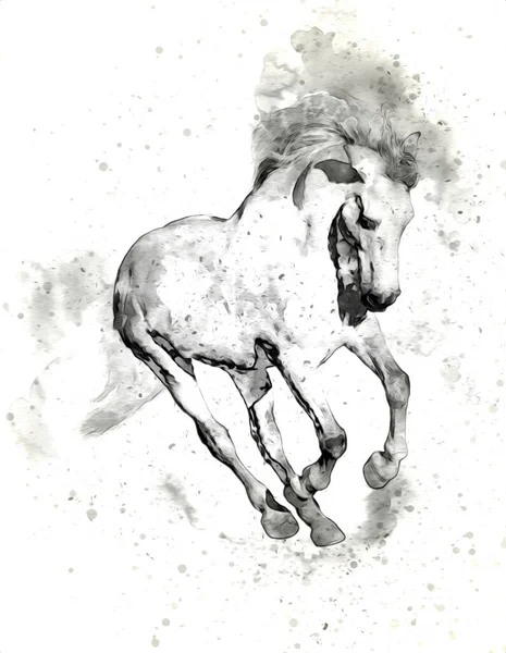 Colorido Caballo Arte Ilustración Grunge Pintura —  Fotos de Stock