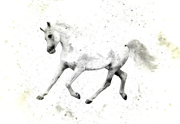 Colorido Caballo Arte Ilustración Grunge Pintura —  Fotos de Stock