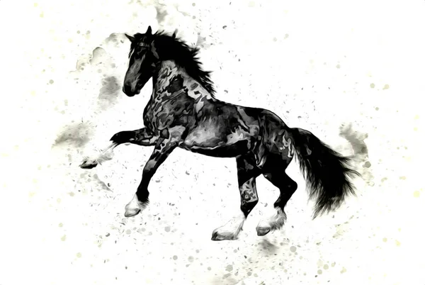 Illustration Art Cheval Coloré Peinture Grunge — Photo