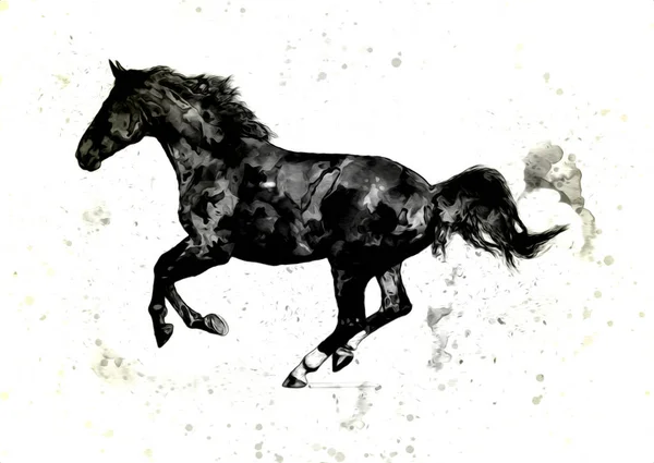 Illustration Art Cheval Coloré Peinture Grunge — Photo