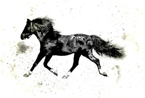 Illustration Art Cheval Coloré Peinture Grunge — Photo