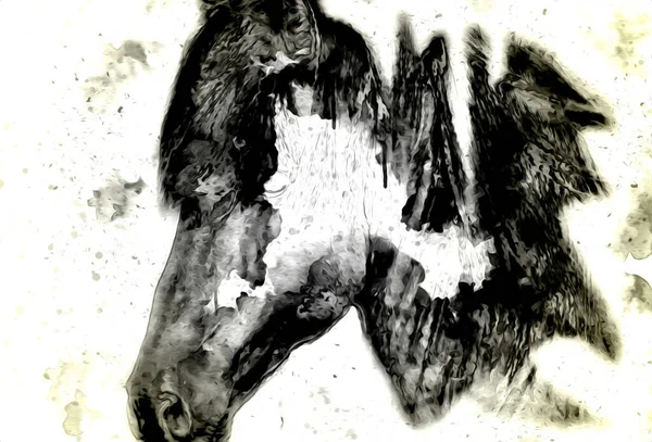 Colorful horse art illustration grunge painting