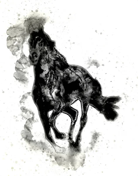 Colorido Caballo Arte Ilustración Grunge Pintura —  Fotos de Stock