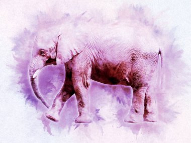 Kalem sanatı çiziminden fil çizimi