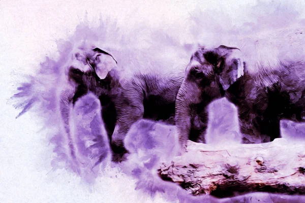 Dibujo Elefante Ilustración Arte Lápiz — Foto de Stock