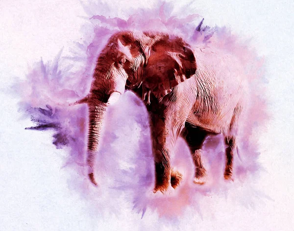 Elephant Drawing Pencil Art Illustration — Stock Photo, Image