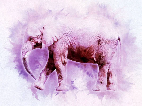 Рисунок Слона Иллюстрации Карандашного Искусства — стоковое фото