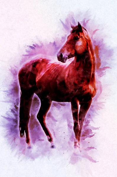 Colorful Horse Art Illustration Grunge Painting — Stock Photo, Image