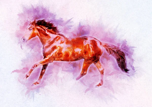 Colorful Horse Art Illustration Grunge Painting — Stock Photo, Image