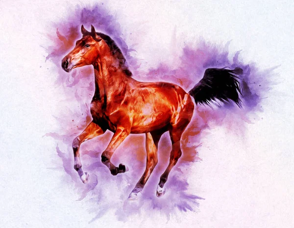 Pittura Grunge Colorata Illustrazione Arte Cavallo — Foto Stock