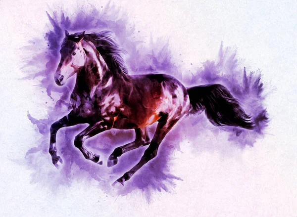 カラフルな馬のアートイラスト グランジペインティング — ストック写真