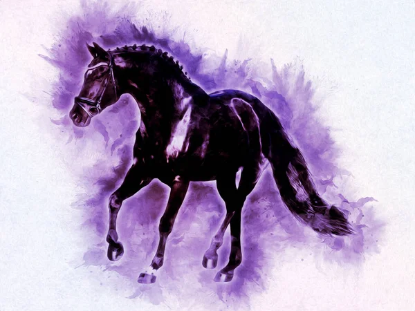 Colorido Caballo Arte Ilustración Grunge Pintura —  Fotos de Stock