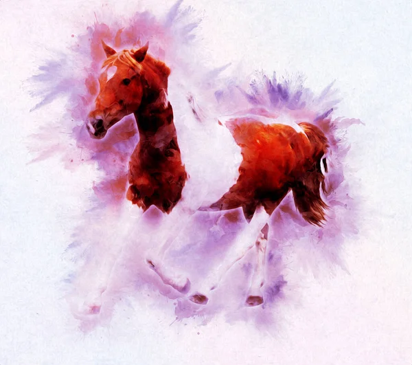 Colorful Horse Art Illustration Grunge Painting — Stock Photo, Image