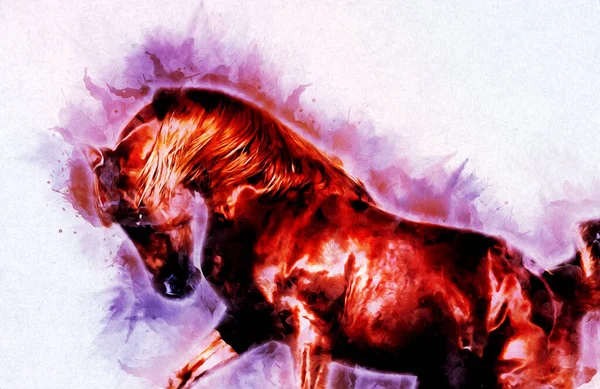 Colorido Caballo Arte Ilustración Grunge Pintura —  Fotos de Stock