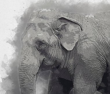 Fil sanatı illüstrasyonu eski moda.