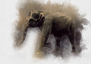 Fil sanatı illüstrasyonu eski moda.