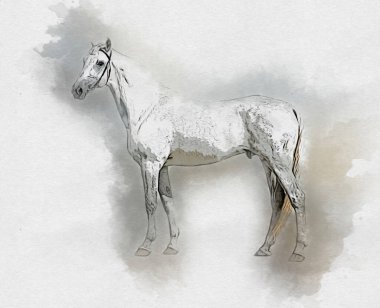 Renkli at resmi grunge resmi