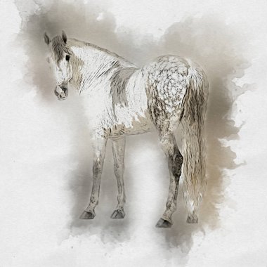 Renkli at resmi grunge resmi