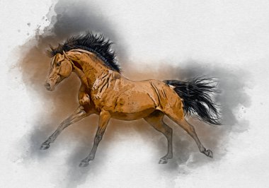 Renkli at resmi grunge resmi