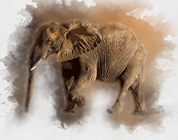 大象艺术图解复古古时代 — 图库照片