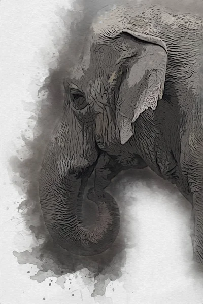 Elephant Art Illustration Rétro Vintage Vieux — Photo