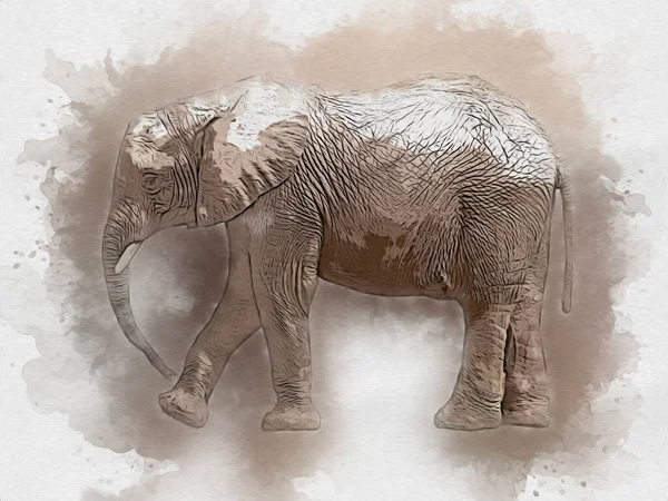 Elefante Arte Ilustración Retro Vintage Viejo — Foto de Stock