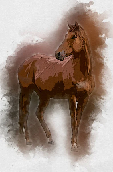 Colorido Caballo Arte Ilustración Grunge Pintura —  Fotos de Stock