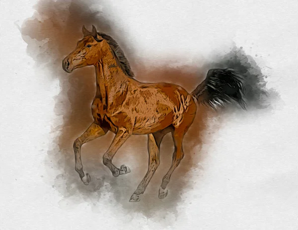 Colorful horse art illustration grunge painting