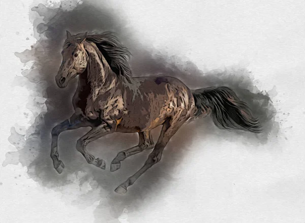 Colorful Horse Art Illustration Grunge Painting — Stock Photo, Image