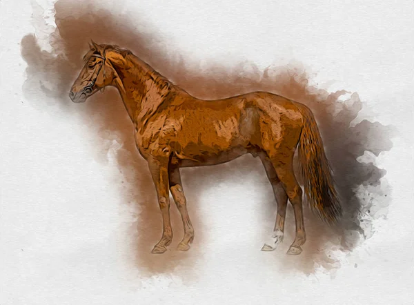 Colorido Caballo Arte Ilustración Grunge Pintura —  Fotos de Stock