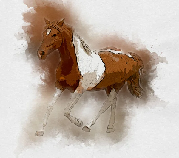 Colorido Caballo Arte Ilustración Grunge Pintura —  Fotos de Stock