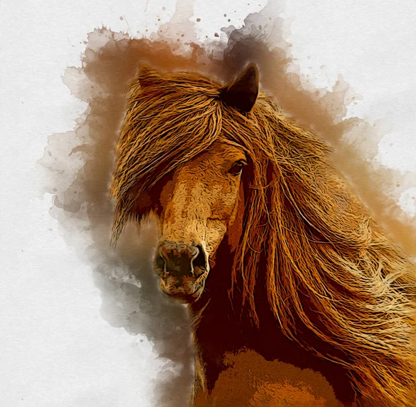 Pittura Grunge Colorata Illustrazione Arte Cavallo — Foto Stock