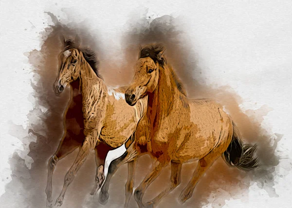 Barevný Kůň Umění Ilustrace Grunge Malba — Stock fotografie
