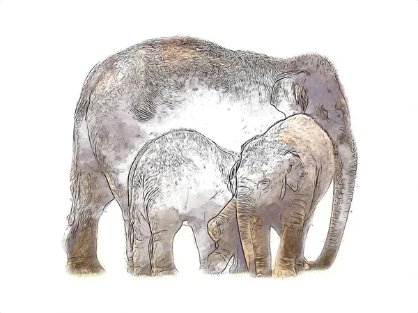 Иллюстрация Слона Ретро Винтажные Старые — стоковое фото