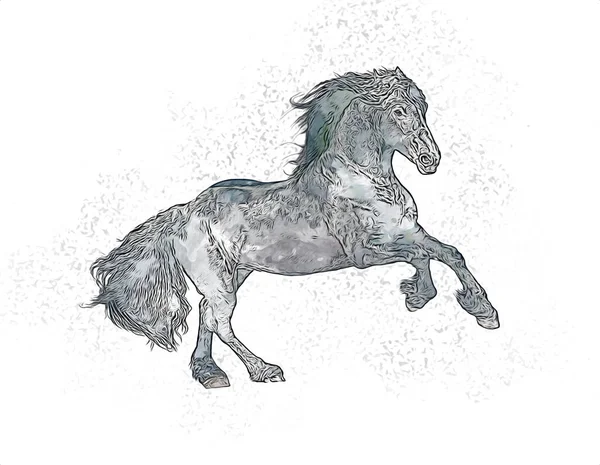 Colorido Caballo Arte Ilustración Grunge Pintura — Foto de Stock