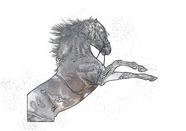 Colorido Caballo Arte Ilustración Grunge Pintura —  Fotos de Stock