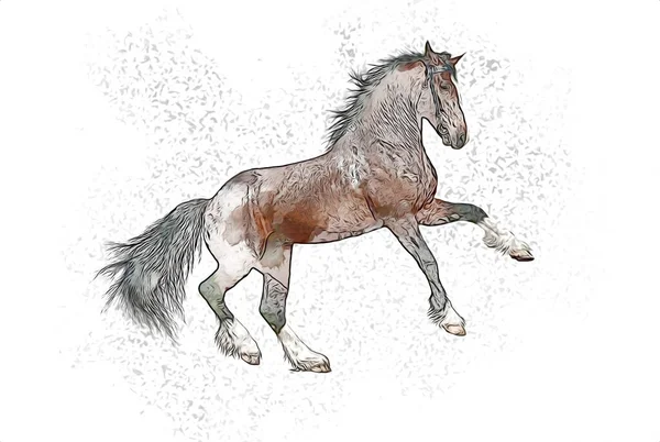 Colorido Caballo Arte Ilustración Grunge Pintura —  Fotos de Stock